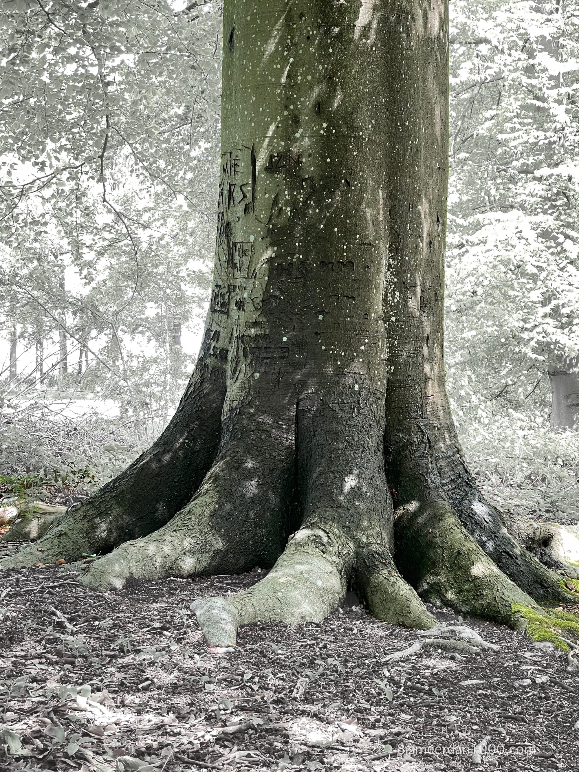 THE 'TREE TIME CHI KUNG' PAPERS