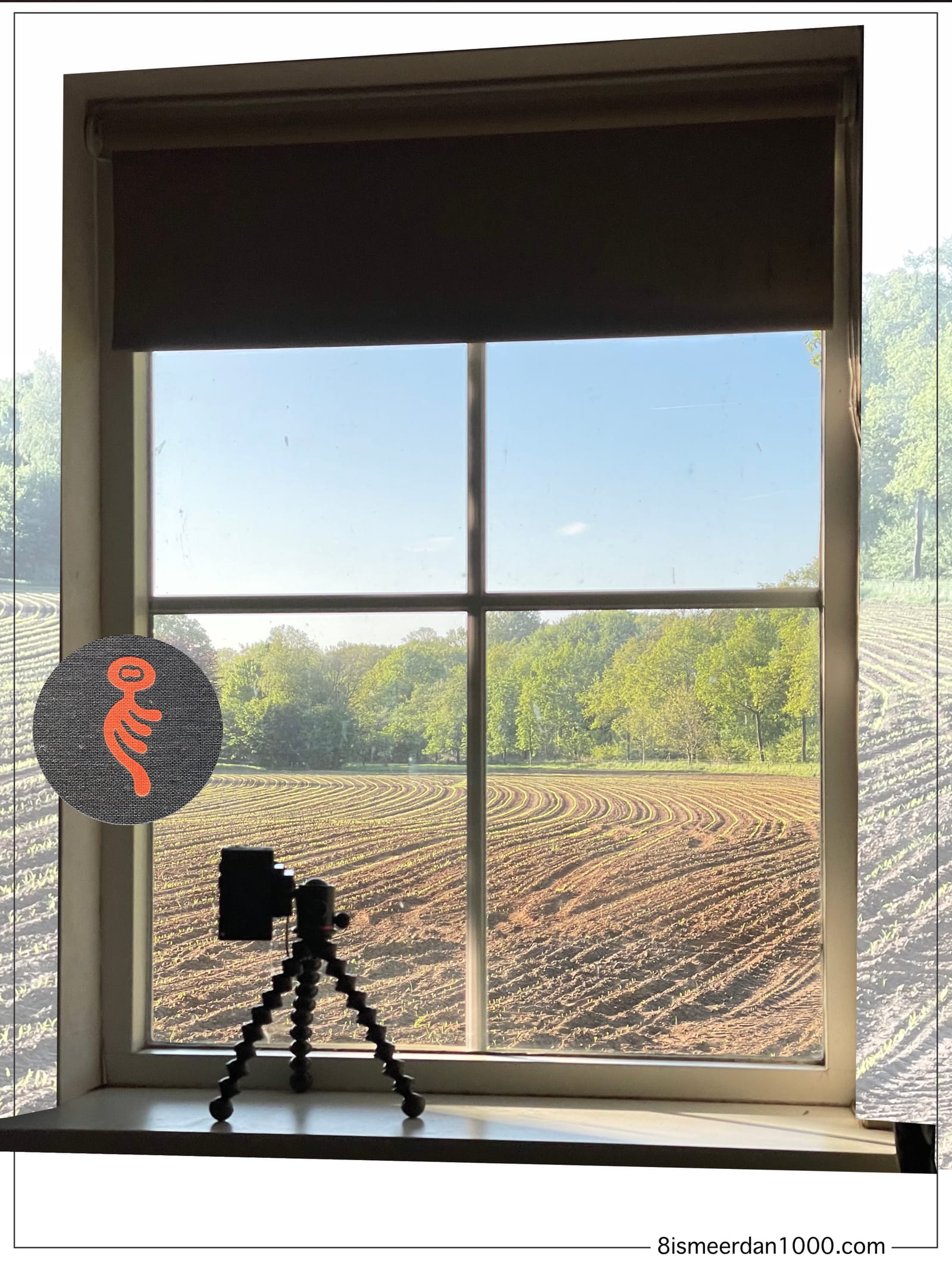 WINDOW ON THE WORLD post image