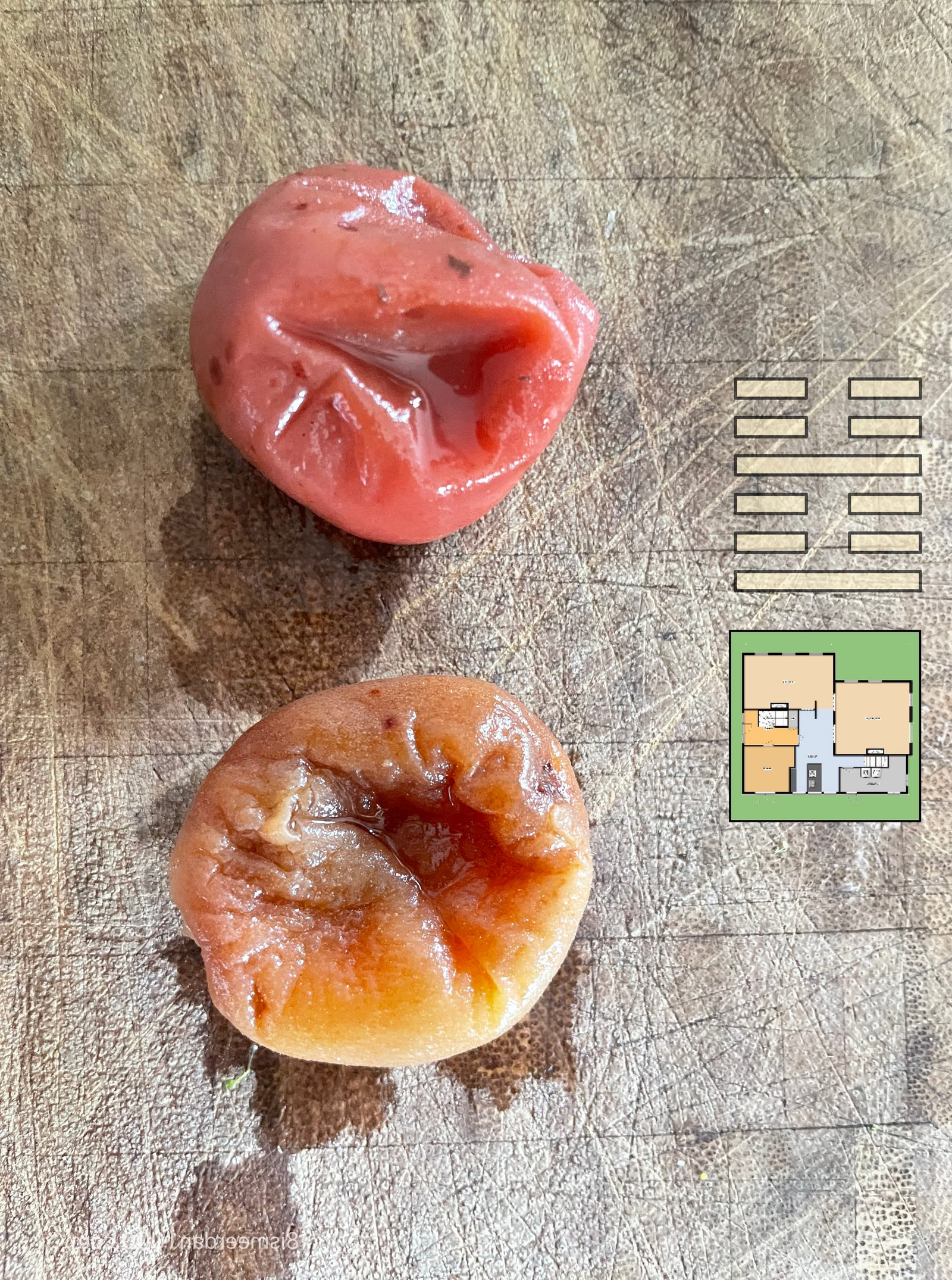 UMEBOSHI post image