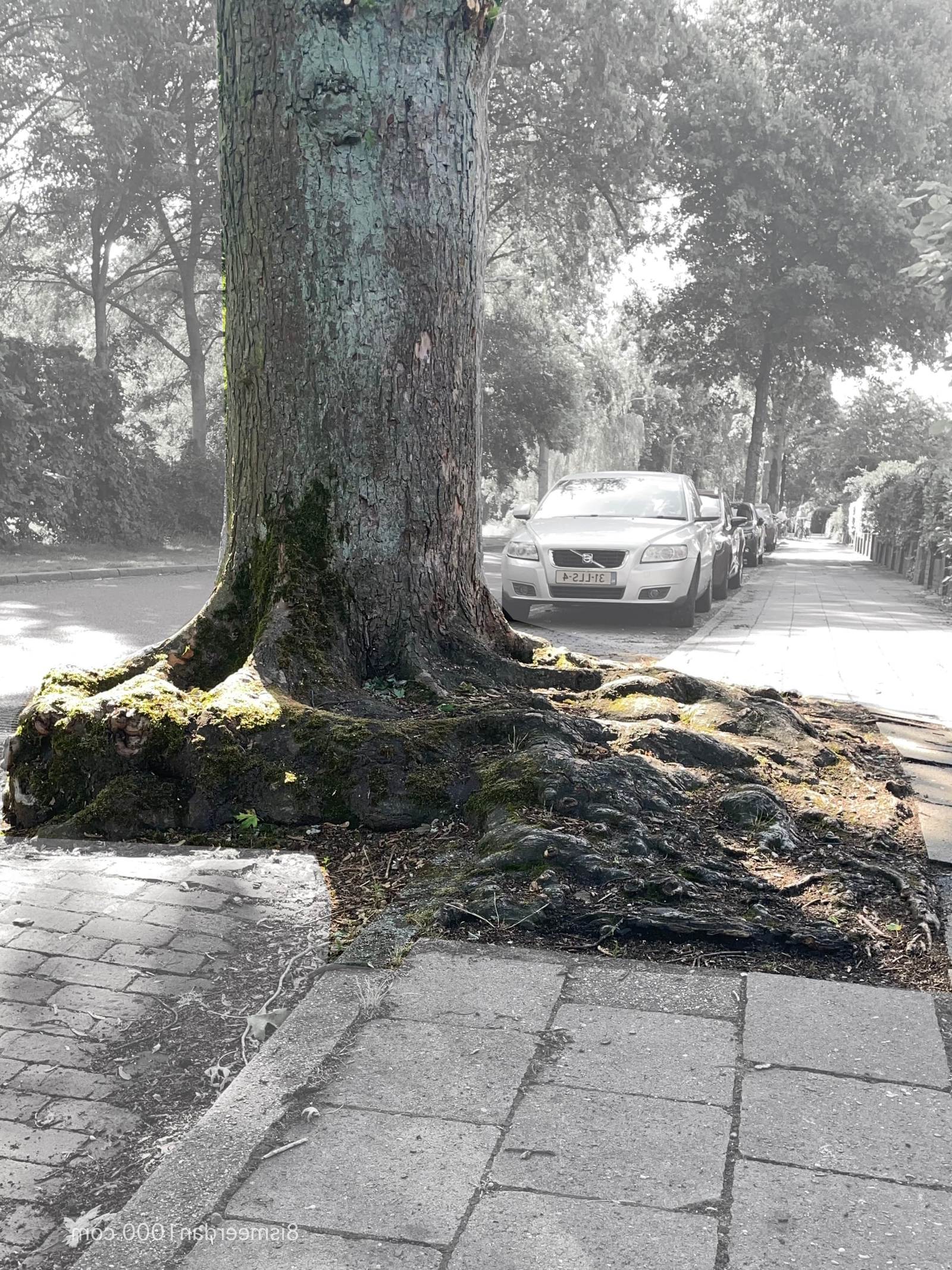 CONFLUENCE post image