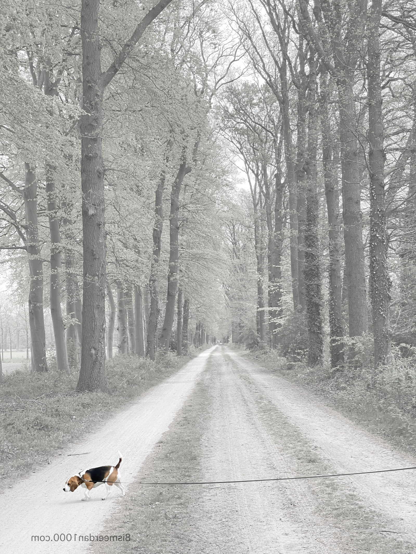 PASSING post image