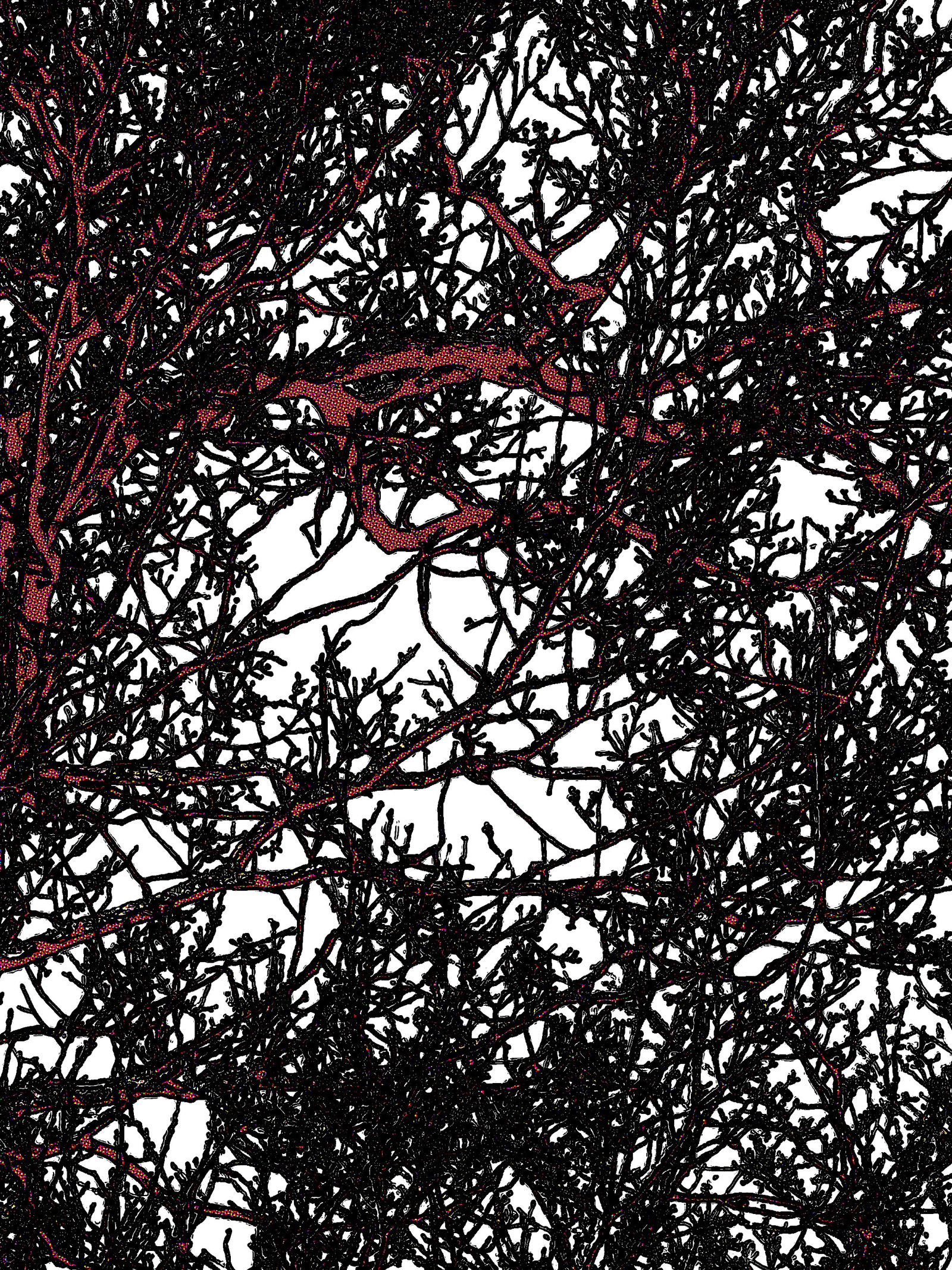 GREEN RESILIENCE post image