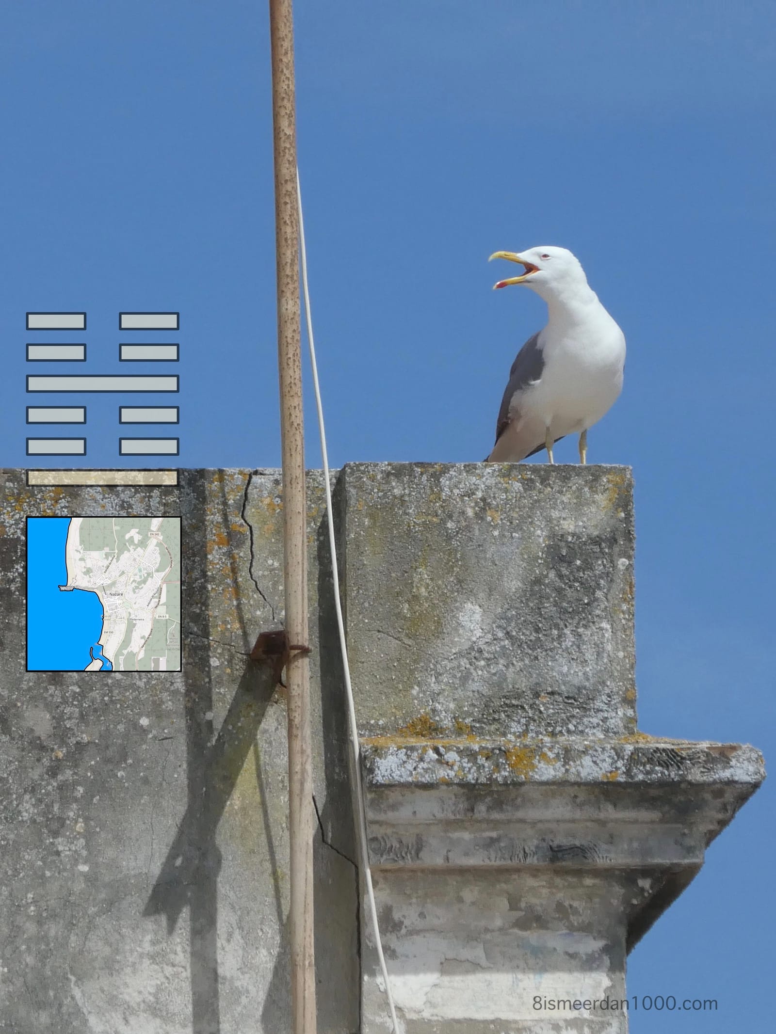 ACHT>1000 post post image