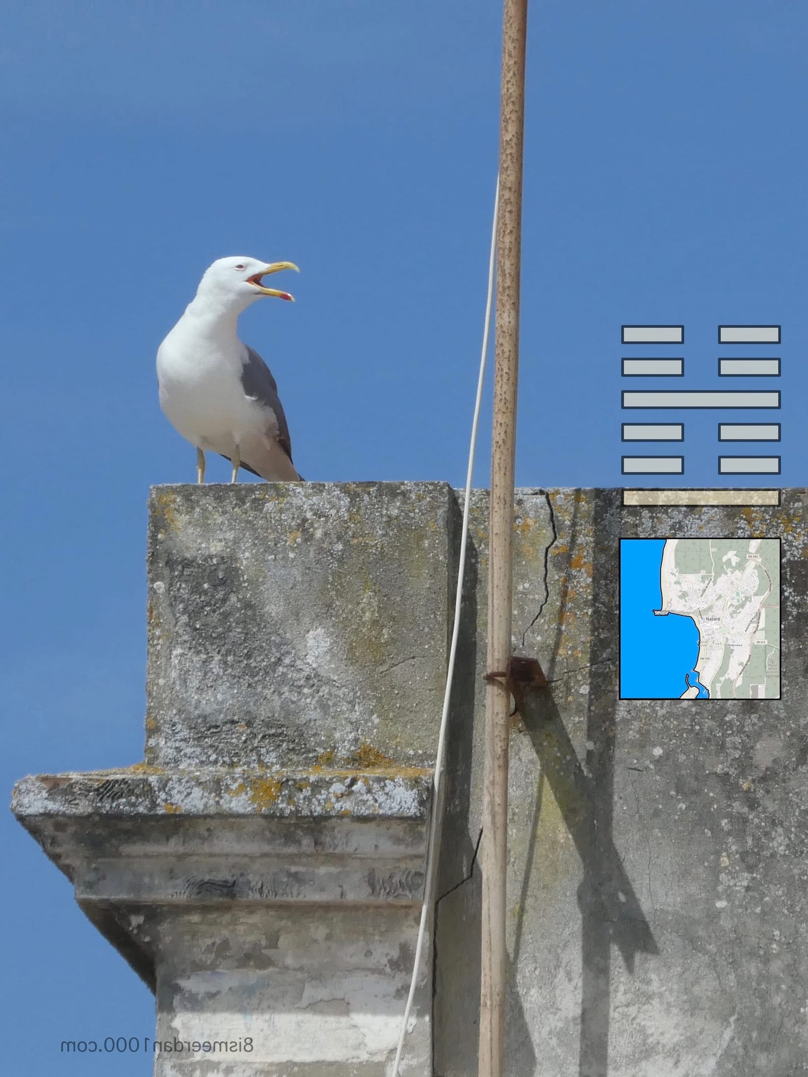 EIGHT>1000 post post image