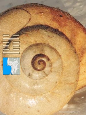 REUSACHTIG KLEIN post feature image