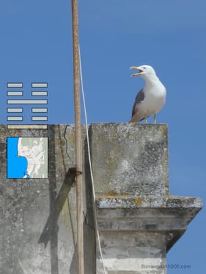 SCHREEUW post feature image